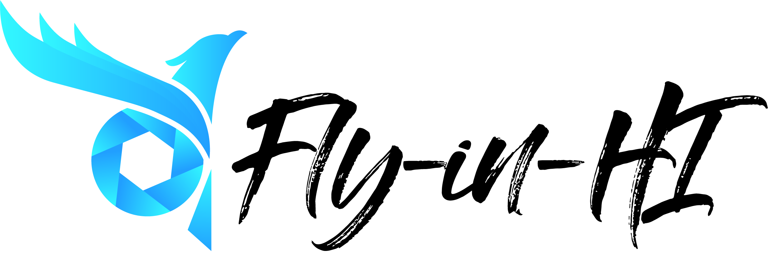 Fly-in-HI Photography